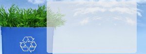 Environmental Responsibility