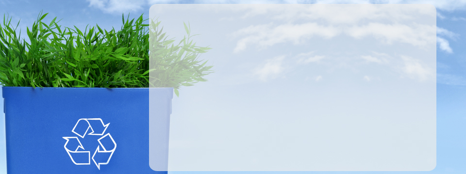 Environmental Responsibility